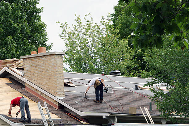 Best Chimney Flashing Repair  in Oak Grove, KY